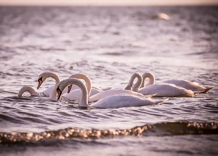 Strandvilla Thiessow
