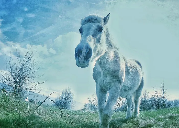 Strandvilla Thiessow